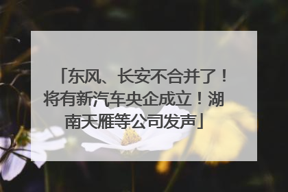 东风、长安不合并了！将有新汽车央企成立！湖南天雁等公司发声